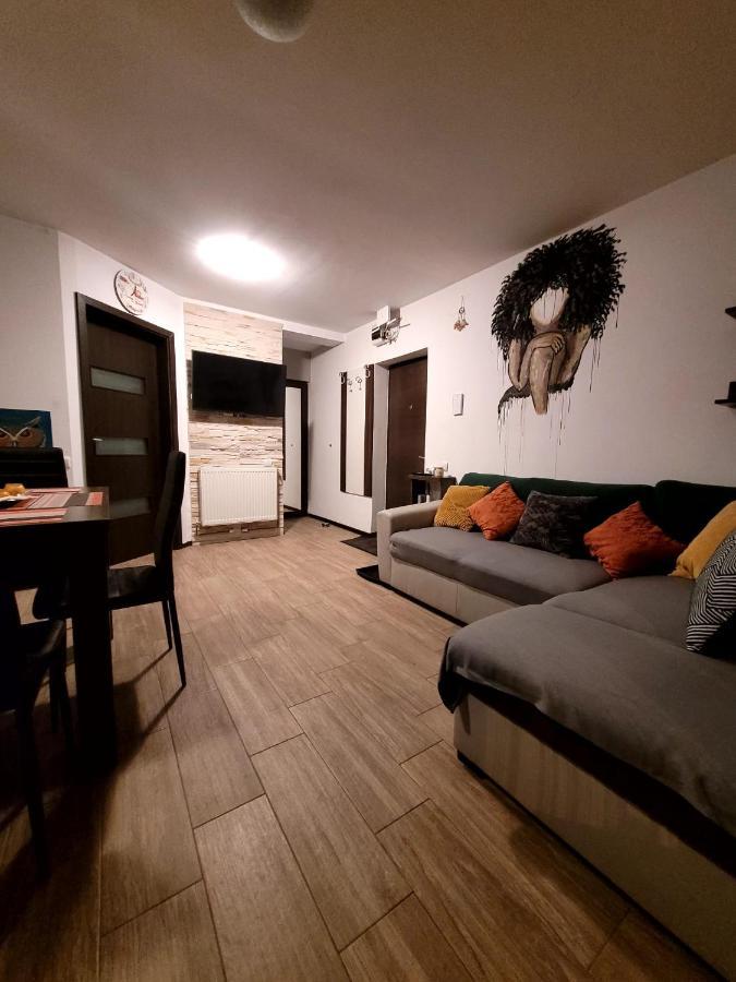 Dds Apartment Brašov Exteriér fotografie